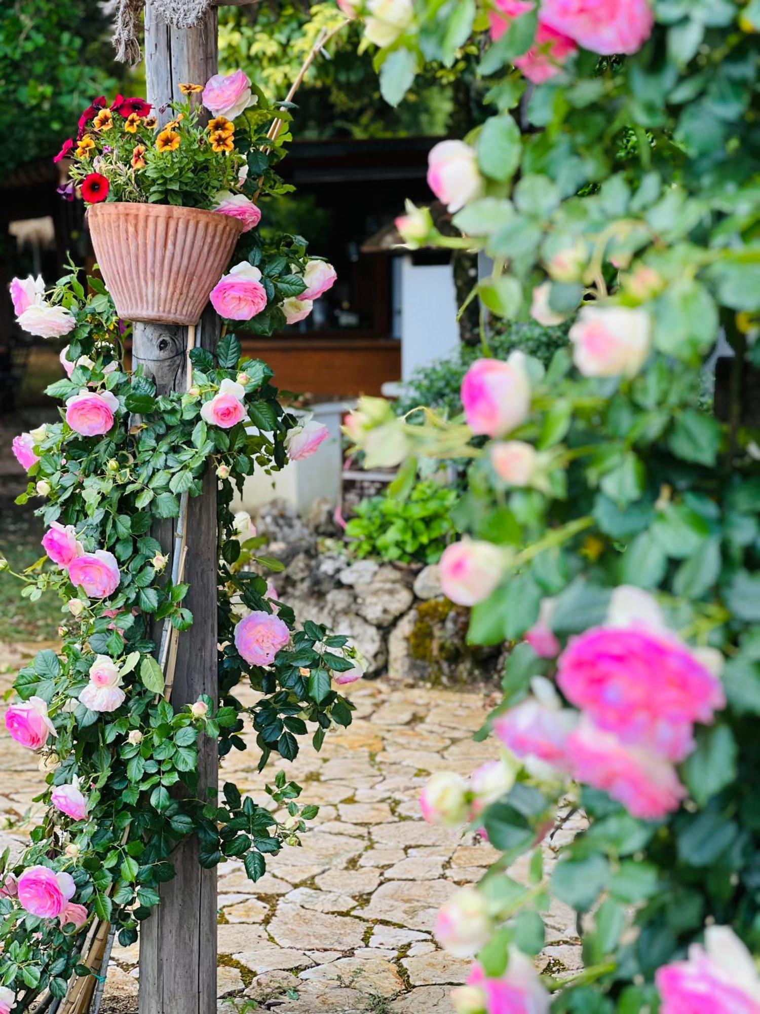 Le Case Di Lisetta Holiday Homes Corciano Exterior foto