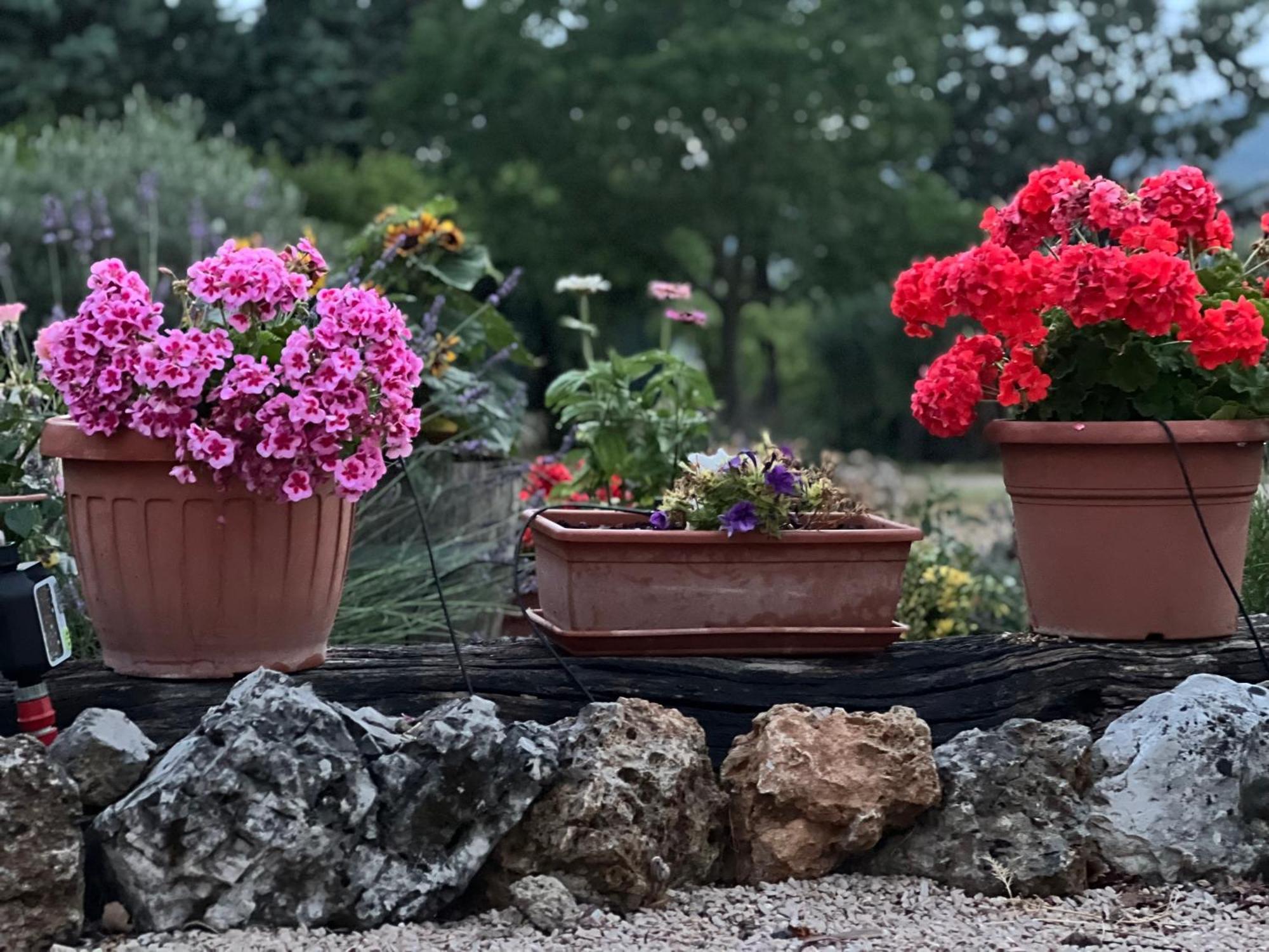 Le Case Di Lisetta Holiday Homes Corciano Exterior foto